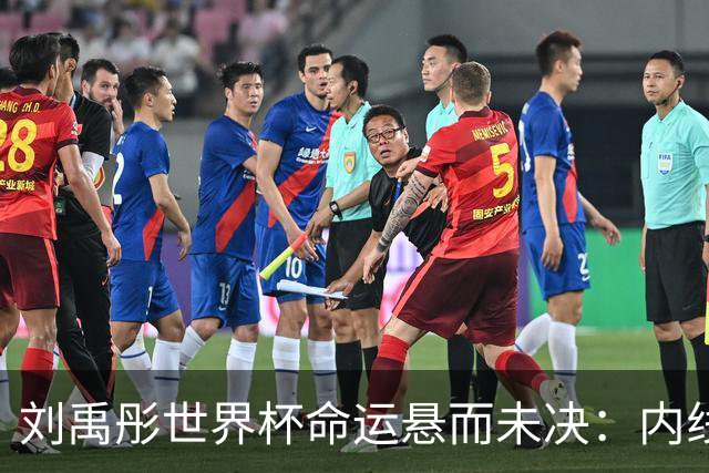 刘禹彤世界杯命运悬而未决：内线竞争白热化，功能互补成关键