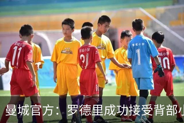 曼城官方：罗德里成功接受背部小手术，将开始短期康复