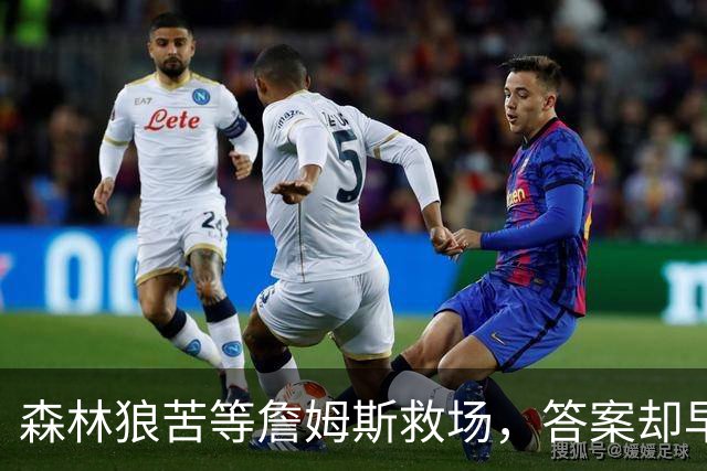 森林狼苦等詹姆斯救场，答案却早已身披5号
